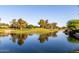 Beautiful view of pond surrounded by mature trees, a picturesque scene for outdoor enjoyment at 3002 S Marigold Pl, Chandler, AZ 85248
