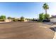 Peaceful street view showcasing well-maintained homes, mature trees, and lush landscaping, creating inviting curb appeal at 3002 S Marigold Pl, Chandler, AZ 85248