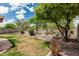This backyard features a lawn, a fence, and mature trees at 3212 W Lucia Dr, Phoenix, AZ 85083