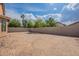 Spacious backyard with dirt landscaping, block wall, and lush greenery at 6432 S 23Rd Ave, Phoenix, AZ 85041