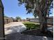 Spacious backyard featuring artificial turf, concrete patio and mature shade trees, perfect for outdoor enjoyment at 6823 W Garfield St, Phoenix, AZ 85043