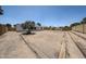 Large dirt backyard with potential for landscaping, bordered by a block wall and mature trees at 812 E Piute Ave, Phoenix, AZ 85024
