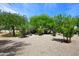 Backyard landscape design with native desert plants and gravel ground cover at 8230 E Via Del Sol Dr, Scottsdale, AZ 85255