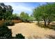 Large backyard with desert landscaping, a block wall, and mature shade trees at 8230 E Via Del Sol Dr, Scottsdale, AZ 85255
