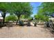 Beautiful backyard with desert landscaping, gravel, mature trees, and plenty of space at 8230 E Via Del Sol Dr, Scottsdale, AZ 85255