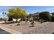 Well maintained front yard with lovely desert landscaping and a large yellow flowering tree at 9621 E Calgary Ave, Sun Lakes, AZ 85248