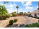 Desert landscaped backyard with a mature palm tree and wooden gate at 108 E Horseshoe Ave, Gilbert, AZ 85296