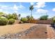 Desert landscaped backyard with palm trees and small garden areas at 108 E Horseshoe Ave, Gilbert, AZ 85296
