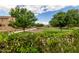 Scenic park view with lush green grass, trees, and walking paths, offering a serene environment for residents at 1350 S Greenfield Rd # 1125, Mesa, AZ 85206