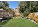 Backyard with lush artificial grass complemented by thriving greenery, offering a serene outdoor retreat at 17030 N 57Th St, Scottsdale, AZ 85254