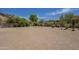 Spacious backyard featuring desert landscaping with a brick patio at 17303 N 98Th Pl, Scottsdale, AZ 85255