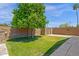 View of grassy backyard with large shade tree and access gate at 3021 S Evergreen Rd, Tempe, AZ 85282