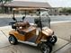 A golf cart is parked on the driveway of this new home, providing convenient transportation around the neighborhood or golf course at 343 W Twin Peaks Pkwy, San Tan Valley, AZ 85143