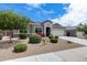 Attractive single-Gathering house with a well-kept lawn, desert landscaping, and a wide driveway at 3515 N Brooklyn Dr, Buckeye, AZ 85396