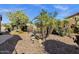 Lush backyard showcasing desert landscape, mature palms, and a calming fountain enhancing the outdoor living space at 4293 E Sourwood Dr, Gilbert, AZ 85298