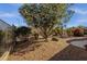 Landscaped backyard featuring desert landscaping, mature trees, flowering bushes, and a decorative fence for privacy at 4293 E Sourwood Dr, Gilbert, AZ 85298