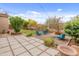 Well-manicured backyard with plush green turf, desert landscaping, and relaxing lounge furniture at 5649 E Desert Forest Trl, Cave Creek, AZ 85331