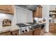 Close-up of the Wolf stove with custom vent hood, tile backsplash, and granite countertops at 7130 E Saddleback St # 58, Mesa, AZ 85207