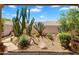 Stunning desert landscaping enhances the outdoor living area at 9127 E Siesta Ln, Scottsdale, AZ 85255
