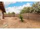 Backyard featuring desert landscaping with a few trees, a block wall and a brick patio at 9511 W Carol Ave, Peoria, AZ 85345