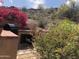 Outdoor cooking area with a built-in grill and vibrant flowering bushes at 11052 N 10Th Pl, Phoenix, AZ 85020