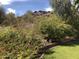 Lush backyard features mature trees and shrubs at 11052 N 10Th Pl, Phoenix, AZ 85020