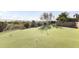 Manicured putting green in a private backyard setting, perfect for practicing your short game at 13249 E Summit Dr, Scottsdale, AZ 85259