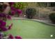 Manicured putting green with flag markers offers a relaxing outdoor activity with mature plantings at 13249 E Summit Dr, Scottsdale, AZ 85259