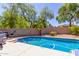 Backyard featuring swimming pool, lush landscaping, privacy fence, and patio furniture at 4043 S Shady Ct, Gilbert, AZ 85297