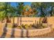 Stone Nicholas Point community sign surrounded by decorative desert plants and trees at 900 E Harrison St, Chandler, AZ 85225