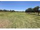 Expansive green space with mature trees and walking paths, perfect for outdoor activities at 900 E Harrison St, Chandler, AZ 85225