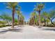 Community walking path lined with towering palm trees, offering shade and a scenic view at 9764 E Radioactive Dr, Mesa, AZ 85212