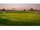 Lush golf course with sand traps at 12928 W Santa Ynez Dr, Sun City West, AZ 85375