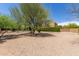 Lush backyard with mature trees, hedges and desert landscaping at 14619 E Desert Vista Trl, Scottsdale, AZ 85262
