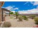 Landscaped backyard with a built-in grill, covered area, rock ground cover, and mature plantings at 17907 W Cedarwood Ln, Goodyear, AZ 85338