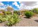 A private backyard with low maintenance landscaping showcases the beauty of desert living at 20642 N 268Th Dr, Buckeye, AZ 85396