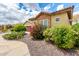 Beautifully landscaped front yard with vibrant bougainvillea and manicured bushes, complemented by stone accents at 20642 N 268Th Dr, Buckeye, AZ 85396