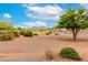 Scenic view of a lush green golf course with mountain views and desert landscaping at 20642 N 268Th Dr, Buckeye, AZ 85396