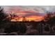 Vibrant sunset view showcasing desert landscaping with cacti and native plants in a tranquil setting at 20642 N 268Th Dr, Buckeye, AZ 85396