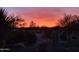 Scenic desert landscape with vibrant sunset, featuring native plants and natural beauty at 20642 N 268Th Dr, Buckeye, AZ 85396