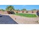 Well-maintained backyard featuring a lush lawn, stone patio, desert landscaping, and a privacy wall for outdoor enjoyment at 2312 E Williams Dr, Phoenix, AZ 85024