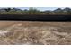Expansive backyard with mountain views in the distance at 32677 N Newby Dr, San Tan Valley, AZ 85143