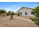 Rear exterior featuring desert landscaping, citrus tree and pool in background at 35656 N Shorthorn Trl, San Tan Valley, AZ 85143