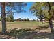 Scenic view of a neighborhood park with mature trees and green space under a clear blue sky at 3822 E Florian Ave, Mesa, AZ 85206
