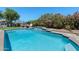 Backyard pool with tiered water feature and lush landscaping at 3822 E Florian Ave, Mesa, AZ 85206