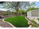 Beautiful backyard features green turf, stone accents, and a mature shade tree at 4226 E Stanford Ave, Gilbert, AZ 85234