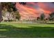 Scenic pond surrounded by green grass and mature trees offering a peaceful and serene atmosphere at 4655 E Farmdale Ave, Mesa, AZ 85206