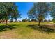 Expansive green space with mature trees, located in a well maintained community park under a clear blue sky at 5216 W Oraibi Dr, Glendale, AZ 85308