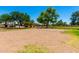 A sand volleyball court in a green and well-maintained community park under a blue sky at 5216 W Oraibi Dr, Glendale, AZ 85308