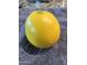 Close up of fresh, vibrant yellow lemon, perfect for lemonade or garnishing dishes at 12821 N 67Th St, Scottsdale, AZ 85254